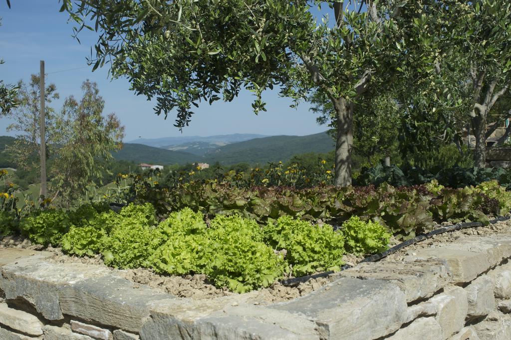 Agriturismo Erta Villa Casole d'Elsa Bagian luar foto