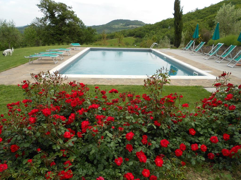 Agriturismo Erta Villa Casole d'Elsa Bagian luar foto