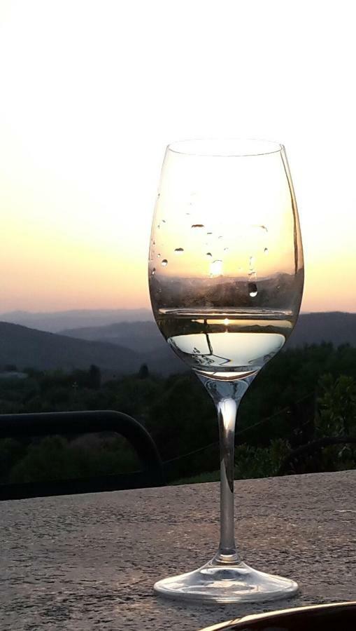 Agriturismo Erta Villa Casole d'Elsa Bagian luar foto