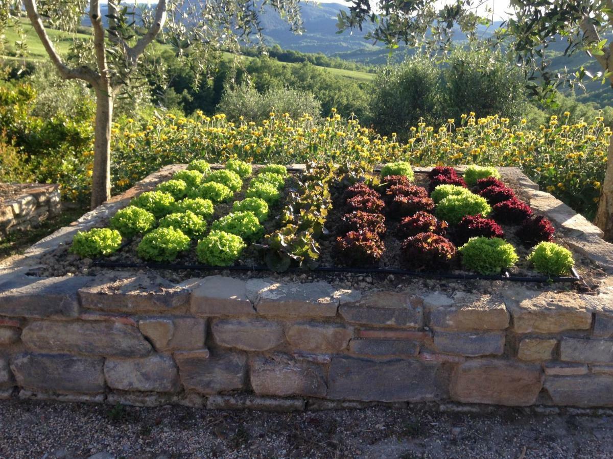 Agriturismo Erta Villa Casole d'Elsa Bagian luar foto