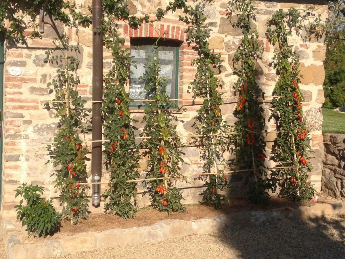 Agriturismo Erta Villa Casole d'Elsa Bagian luar foto