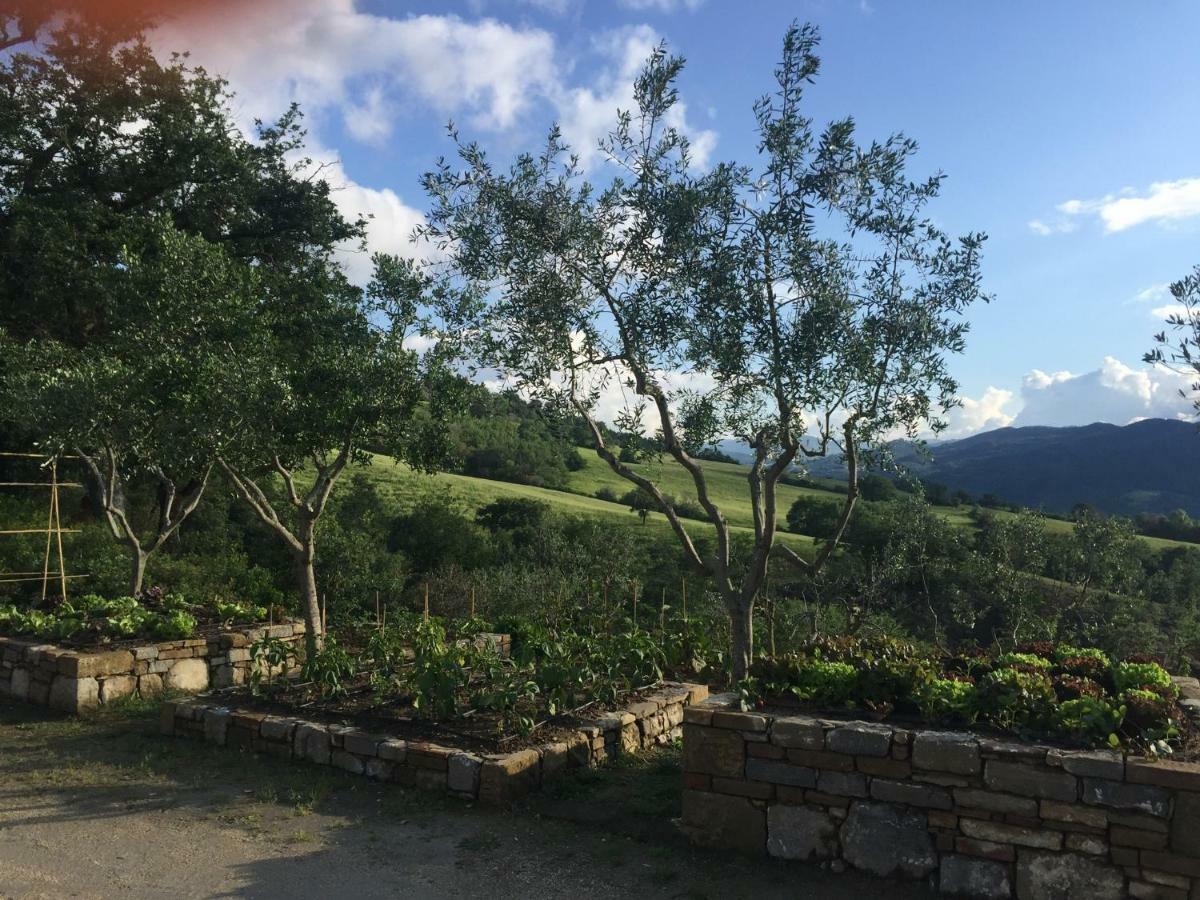 Agriturismo Erta Villa Casole d'Elsa Bagian luar foto
